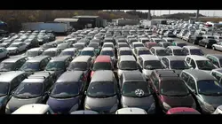 Immersion dans une méga fourrière