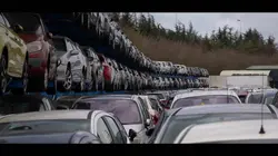 Immersion dans une méga fourrière