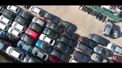 Immersion dans une méga fourrière