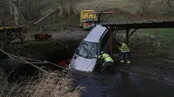 Immersion dans une méga fourrière
