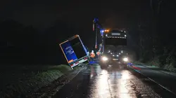 Immersion dans une méga fourrière