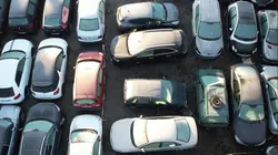 Immersion dans une méga fourrière