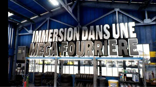 Immersion dans une méga fourrière E05