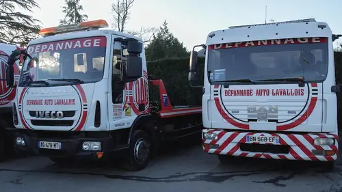 Immersion dans une méga fourrière S02E05 Urgence poids lourds