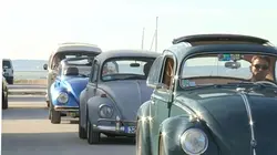 Immortelle Coccinelle