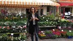 In Situ La guerre des fleurs