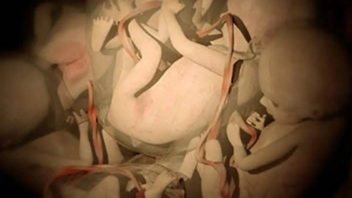 In utero Combat pour la vie