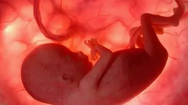 In utero