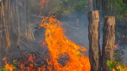 Incendies géants, enquête sur un nouveau fléau