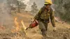 Incendies géants : enquête sur un nouveau fléau