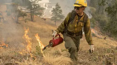 Incendies géants : enquête sur un nouveau fléau