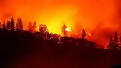 Incendies géants, enquête sur un nouveau fléau