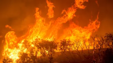 Incendies géants, enquête sur un nouveau fléau Incendies géants, survivre dans l'ère du feu