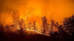 Sur Ushuaïa TV à 22h35 : Incendies géants