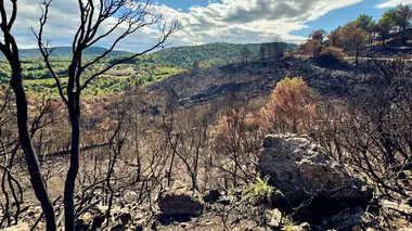 Incendies, innover pour mieux lutter