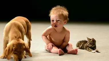 Incroyables bébés