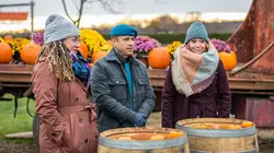 Incroyables citrouilles