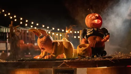 Incroyables citrouilles