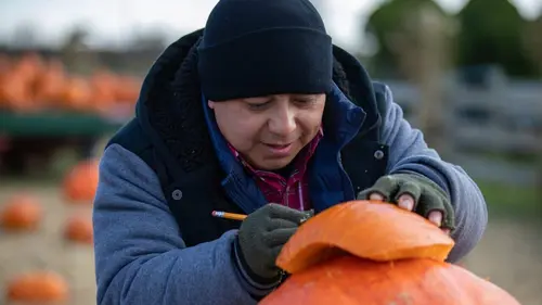 Incroyables citrouilles S01E02