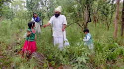 Inde, la médecine ayurvédique