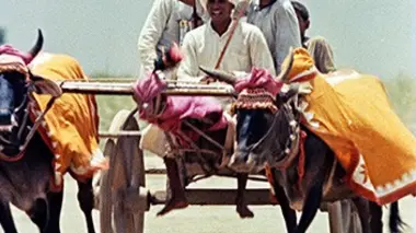 Inde, terre mère