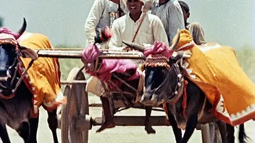 Inde, terre mère
