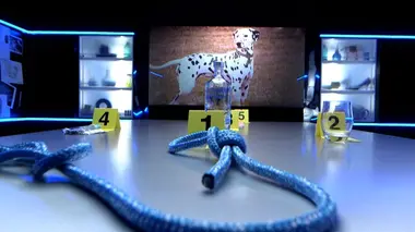 L'affaire Aubry : pendaison mystérieuse sur la péniche