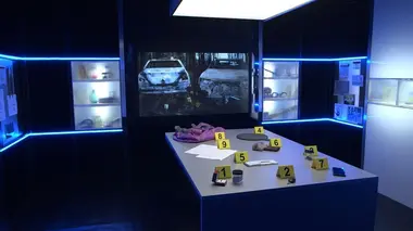 Les amants assassins : l'affaire Anne Barbot