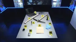 Indices L'affaire Julien Thevenet