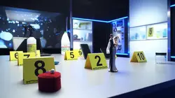 Indices L'affaire Françoise Desnoue