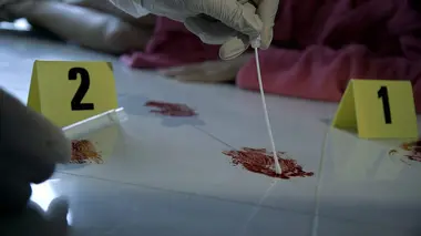 Abattue à bout portant : l'affaire Aurélie Barbot