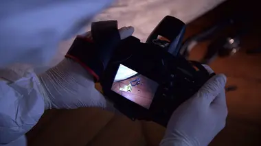 Poignardée dans son lit : l'affaire Maureen Jacquier