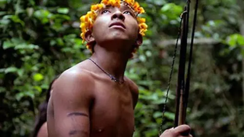 Indiens d'Amazonie, le dernier combat