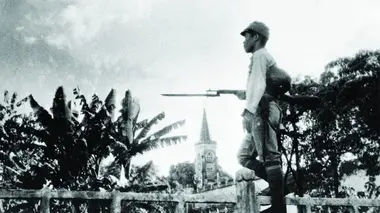 Le loup dans la bergerie