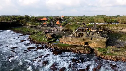 Indonésie : le saccage du poumon de la planète