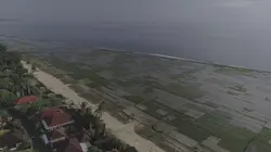 Indonésie, les cultivateurs de la mer