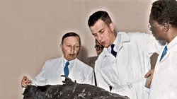 Inexpliqué S01E04 Cryptides et monstres légendaires