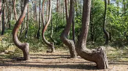 Inexpliqué S01E03 Une nature surnaturelle