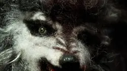 Inexpliqué S02E07 Vampires et loups-garous