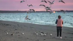 Inexpliqué S02E08 Les superpouvoirs des animaux