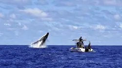 Inexpliqué S02E08 Les superpouvoirs des animaux