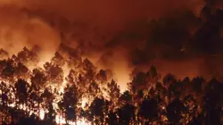 Inferno : Au cœur de la canicule