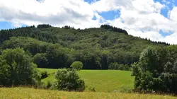 Initiatives de nos régions