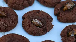 Insectes à la carte