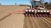 Insecticide, comment l'agrochimie a tué les insectes