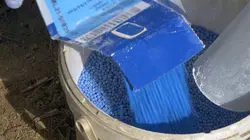 Insecticide, comment l'agrochimie a tué les insectes