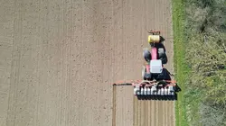 Insecticide, comment l'agrochimie a tué les insectes