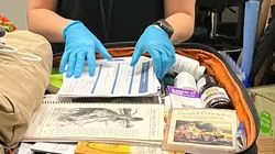 Inside Airport Lost & Found Diamant, costumes et espèces