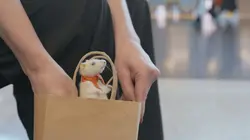 Visuel de Inside Airport : objets trouvés