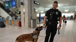 Visuel de Inside Airport : objets trouvés
